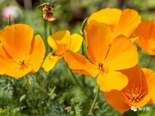 1590029318898612.jpg 微信圖片_20200521104247.jpg