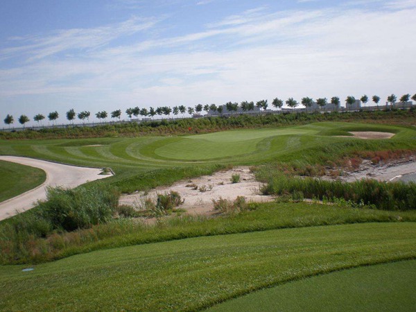 剪股穎包衣種子播種后多久發(fā)芽