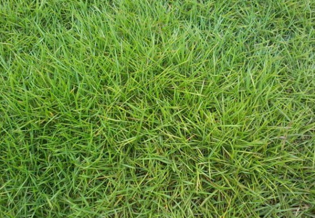 1627993171932056.jpg image.jpg