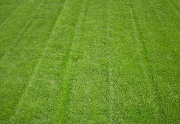 1627993181505831.jpg image.jpg