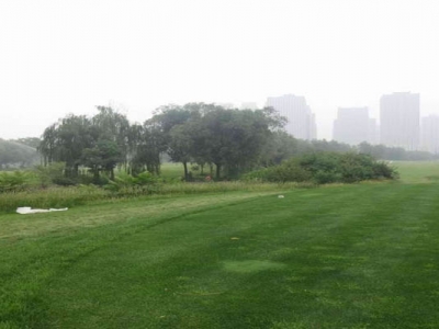 高羊茅種子播種時間是幾月？